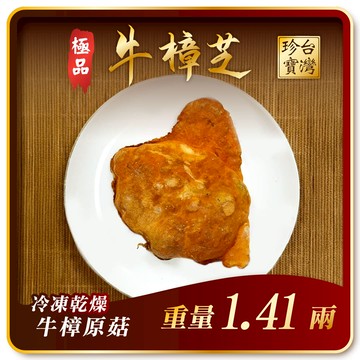 寶芝靈極品嚴選｜牛樟椴木子實體（冷凍乾燥牛樟菇20000以上品級）約1.41兩