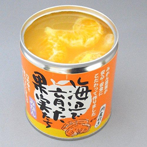 みかん缶詰　海辺で育った果実たち（愛媛産みかん100%使用） ×3缶セット