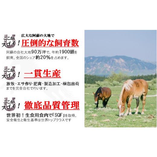 ふるさと納税 熊本県 和水町 馬肉応援！くまもと馬肉バラエティ６種 540g