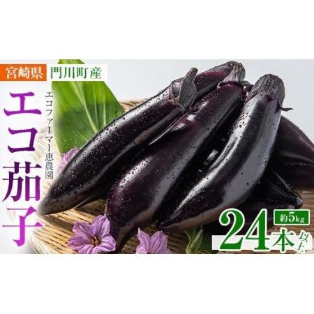 ふるさと納税 ＜2023年11月〜2024年6月中旬の間に発送予定＞期間限定！宮崎県門川町産エコファーマー恵農園のエコ茄子(24本〜33本・約5k.. 宮崎県門川町