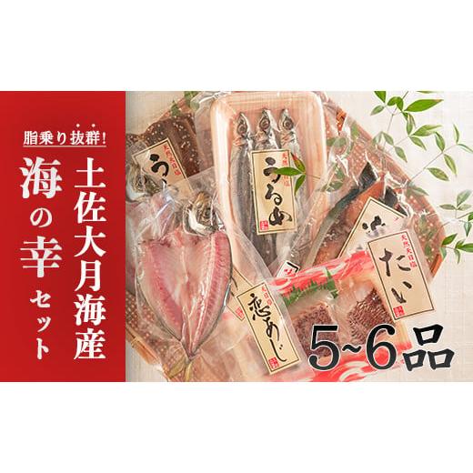 ふるさと納税 高知県 大月町 土佐大月海産　海の幸セット　5〜6品