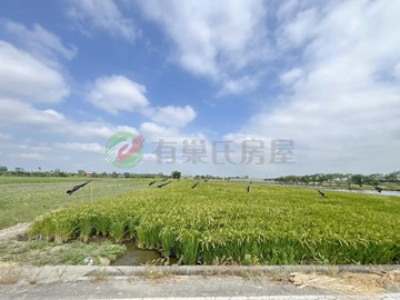 下營｜雙面臨路｜4.7分優質農地✱投資自用｜台南市下營區茅港尾