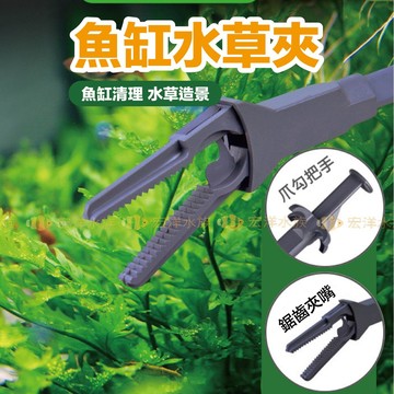宏洋水族【魚缸整理夾／大夾嘴】✨魚缸整理 懶人必備〞水草工具 水草缸 水族用品 魚缸造景 水草造景 水草佈景 水族造景