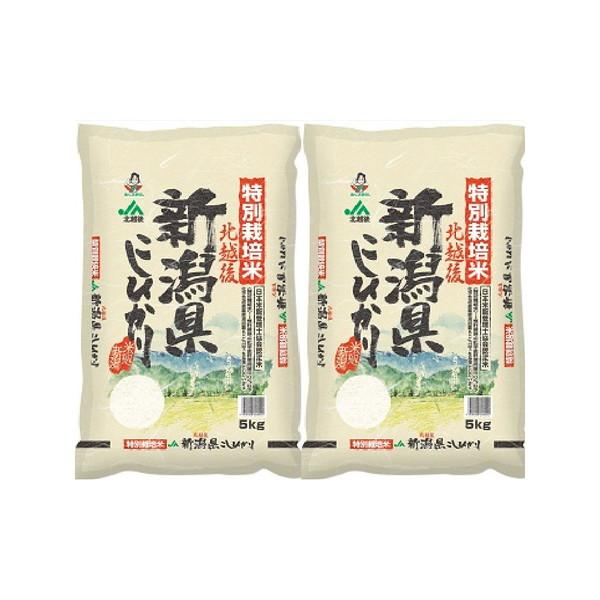 新潟 JA北越後産 特別栽培米コシヒカリ 5kg×2 ギフト プレゼント