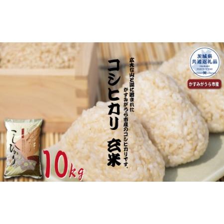 ふるさと納税 コシヒカリ　玄米10kg（茨城県共通返礼品・かすみがうら市産） 茨城県那珂市