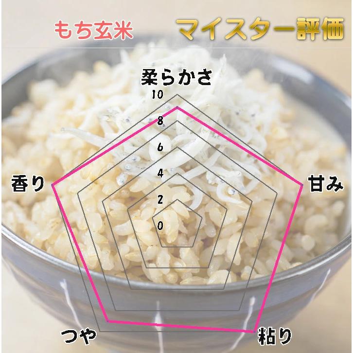 玄米 2kg もち玄米 無洗米 送料無料 お試し 国内産 米 2キロ