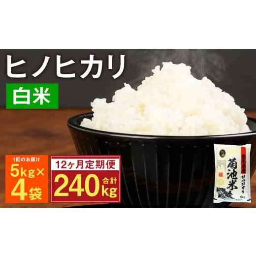 ふるさと納税 熊本県 菊池市 熊本県菊池産 ヒノヒカリ 5kg×4袋×12回 計240kg 精米 お米 白米