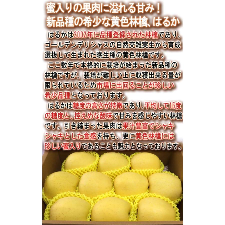 はるか 蜜入り黄りんご 約3kg 8〜12玉入り 特秀品 山形県産 贈答品 JAさがえ西村山 高い糖度と酸味の少ない果肉！国内屈指の林檎産地で育った味わい抜群のリンゴ