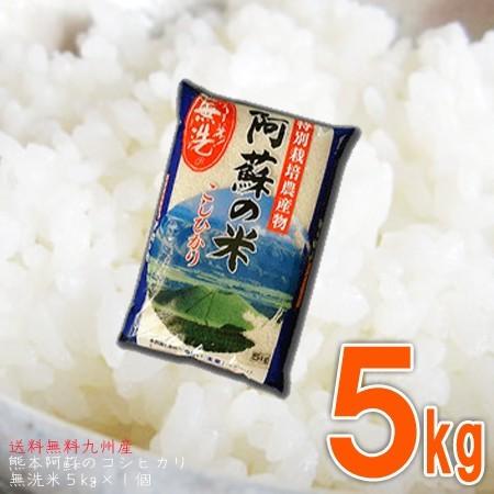 令和5年産 米 5kg 送料無料 特別栽培米 熊本 阿蘇のコシヒカリ 無洗米 5kg