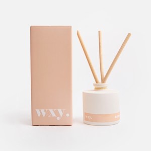 wxy 經典擴香-aura.雲杉 & 琥珀絨