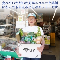 紀州の野菜・果物セット(15～20品目詰め合わせ)