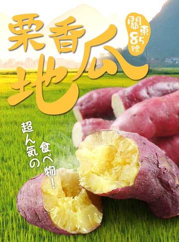【愛上新鮮】日本栗香地瓜