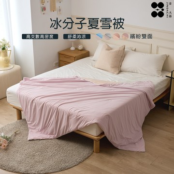 【金大器】冰分子夏雪被 150x200cm-丁香紫_廠商直送