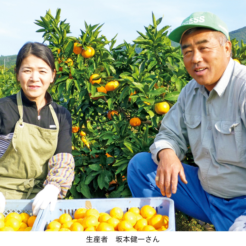 ＜さかもとふるーつ＞熊本県産オーガニックみかん