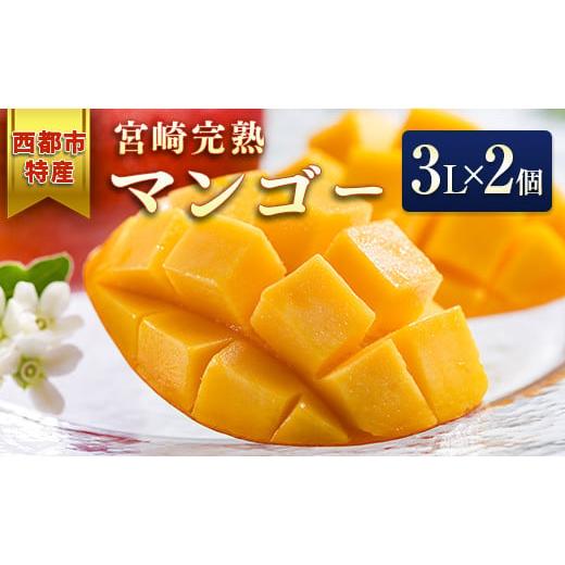 ふるさと納税 宮崎県 西都市 宮崎県産完熟マンゴー3Ｌ×2個　西都市特産品＜1.5-132＞