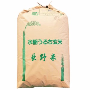 新米 令和5年産 長野県佐久産コシヒカリ １等 玄米 30kg (白米 無洗米加工 保存包装 選択可）新米 コシヒカリ 1等 新米 30kg