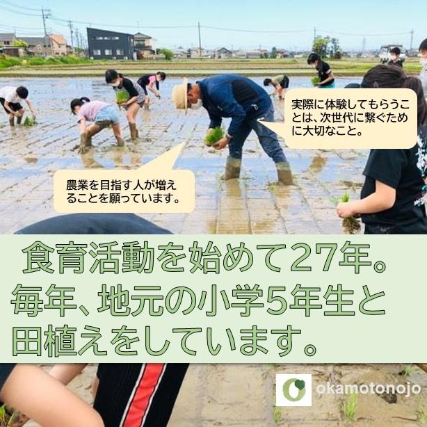 　厳選プレミアム米　特別栽培米コシヒカリ　５kg　玄米　精白米　一等　石川県産　５0％以上農薬減　100％有機肥料　農家直送米