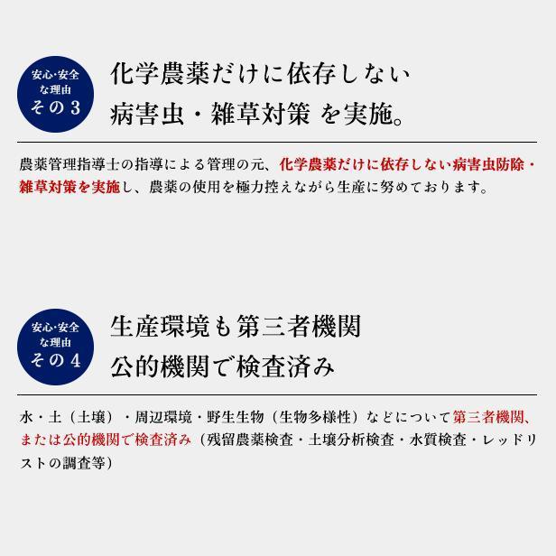 新米 令和5年産 福島県 中通産 ひとめぼれ 精白米 30kg (5kg×6袋) 小分け JGAP