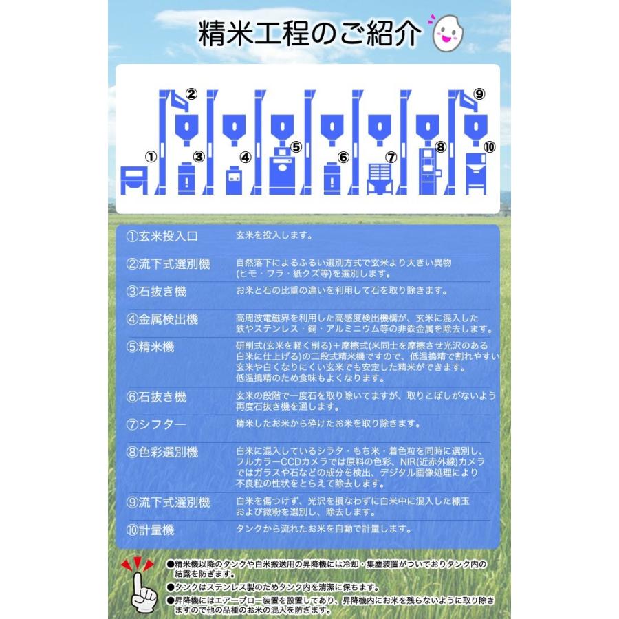 米 お米 福島県中通り産 ミルキークイーン 玄米:30kg(白米:約27kg) 精米無料 送料無料 ※沖縄県・離島対応不可