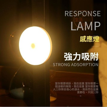 LED感應燈 5K冷光燈 磨砂燈 廚房感應燈 衛浴感應燈 便攜照明燈