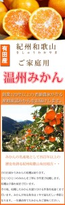 紀州和歌山有田産温州みかん5kg ※2023年11月下旬～2024年1月下旬頃に順次発送予定