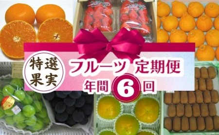 フルーツ 定期便 特産果実 年間6回