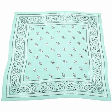 Max Mara WEEKEND WKAPENTOLA  佩斯利圖騰方框薄荷綠真絲方巾 圍巾(65x65)