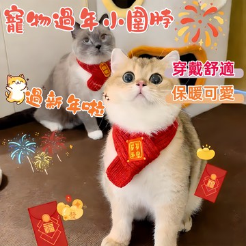 🚀台灣出貨貓咪狗狗新年圍脖裝飾 寵物 寵物過年 紅色圍巾 寵物圍巾 寵物領巾 貓咪圍巾 貓咪項圈 貓咪領巾 精品圍巾