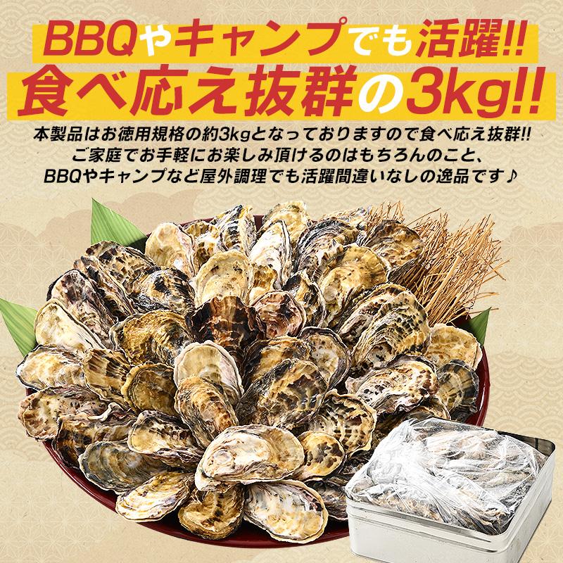 カキ かき 牡蠣 一斗缶 カンカン焼き 殻付き 3kg 牡蠣カンカン焼き 冷凍 軍手＆牡蠣ナイフ付き 瀬戸内海産 お歳暮 ギフト