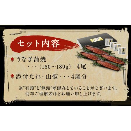 ふるさと納税 九州産 うなぎ 蒲焼 大 4尾 (1尾あたり160〜189g) 福岡県北九州市