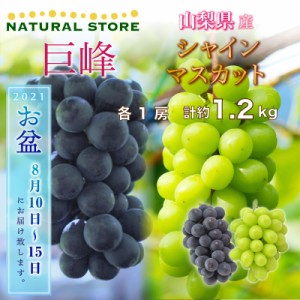 [最短順次発送]  シャインマスカット 1房 巨峰 1房 計1.2kg 山梨県産 秋ギフト  果実ギフト