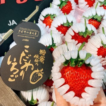 【帕查嬤嬤】✨✨草莓中的夢幻逸品✨✨  🇯🇵頂級黑盒熊本菊池糖蜜草莓🍓｜日本草莓禮盒