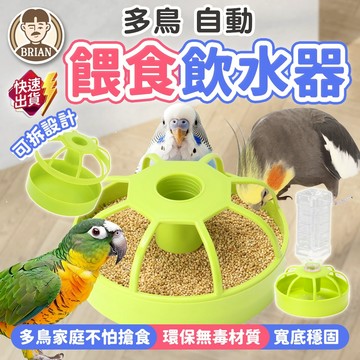 多鳥自動餵食飲水器【布萊恩👨🏻隔日到貨】鳥類食盆 鸚鵡食盆 鳥類飲水盒  多孔設計鳥用食盆 鳥類用品 鳥水盆