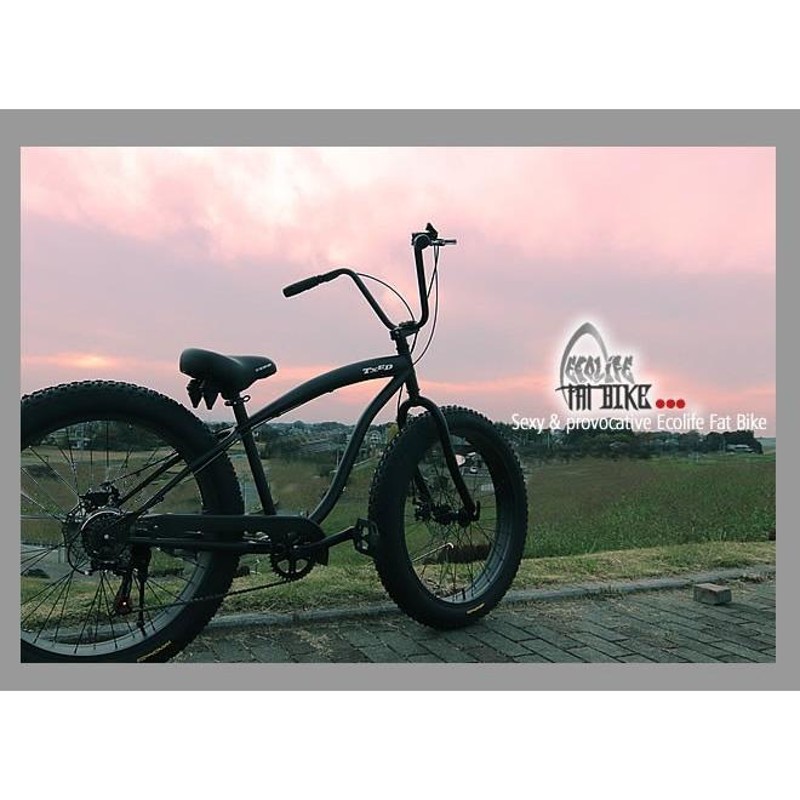 Big bike ビッグバイクTXED 自転車 自転車本体 | mental-health.com.ua