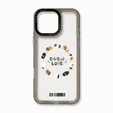 iPhone 16 Pro Max 殼 TRON IPhone 16 Pro Max 走來走去天竺鼠圈  載具 太空殼 透黑款 手機殼