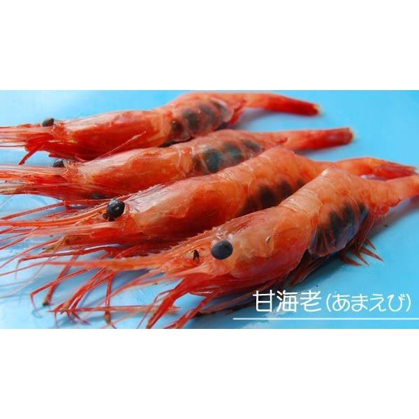 甘エビ・無頭（冷凍）約150ｇ入（浜坂産）（あまえび、アマエビ、甘えび、海老）