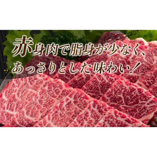 ふるさと納税 宮崎県 日南市 宮崎牛モモ焼肉(計600g)　肉　牛　牛肉 C70-21