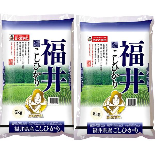 福井県産 こしひかり 5kg×2 ギフト プレゼント お中元 御中元 お歳暮 御歳暮