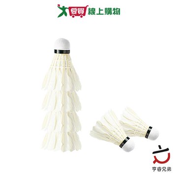 HENRAY 羽球6入 運動 羽毛球 練習羽球【愛買】