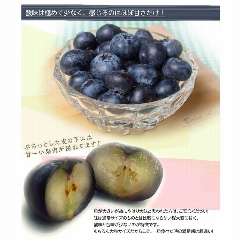新入荷 超希少特大粒秀品 高級採れたて 新鮮生ブルーベリー 数量