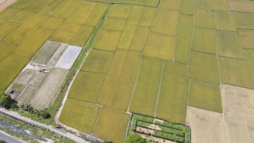 彰化 大村置產首選 科技產業園區預定地 農地｜彰化縣大村鄉平和段