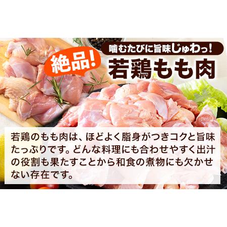 ふるさと納税 うまかチキン 全パックもも肉セット 1回のお届け 合計3.1kg 合計 約9.3kgお届け 《お申込み月の翌月より出荷開始》.. 熊本県氷川町