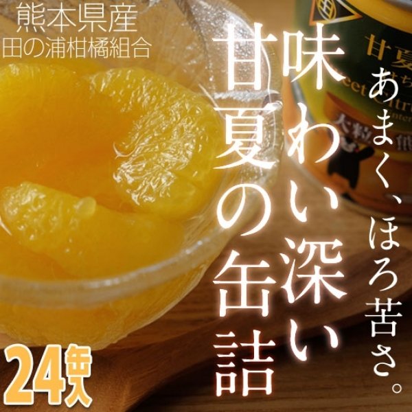 はちみつ入り甘夏みかんの缶詰（24缶入り）