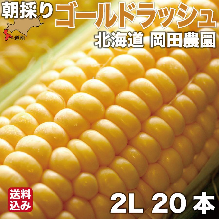 2023 早割予約】 とうもろこし 北海道産 ゴールドラッシュ 2Lサイズ