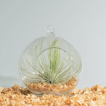 空鳳玻璃球 - 大紅寶石