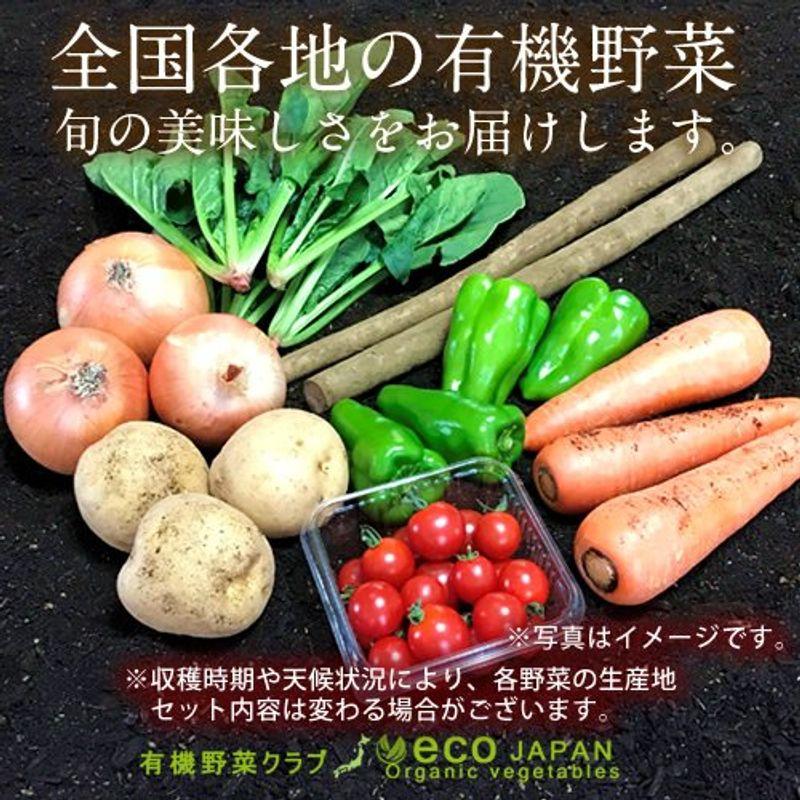 日本の有機野菜セット［7種類］季節の旬 有機農法 野菜 詰め合わせ 日本全国ご当地生産者 有機栽培 ベジタブル スムージー 野菜材料