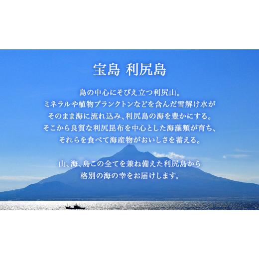 ふるさと納税 北海道 利尻富士町  お楽しみ 北海道利尻島から海の恵み＜利尻漁業協同組合＞