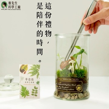 【賽先生科學工廠】螢光蕈植物生態瓶手作課材料包｜打造自己的華德箱(附影片教學) (無外島配送)