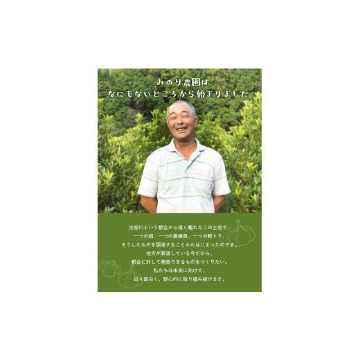 ふるさと納税 和歌山県 古座川町 みのり農園の乾燥にんにく 1kg ／ニンニク にんにく 乾燥にんにく 乾燥ニンニク