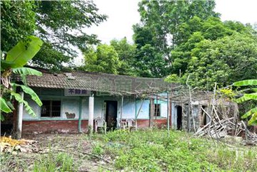 左鎮市心4分超值農建地｜台南市左鎮區左鎮段